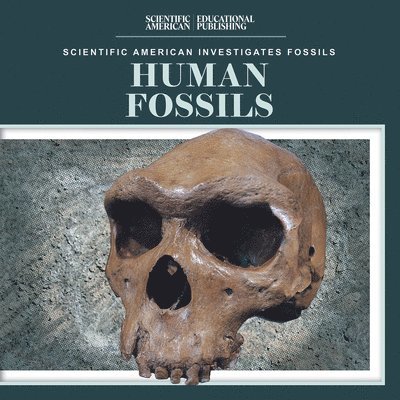 Human Fossils 1