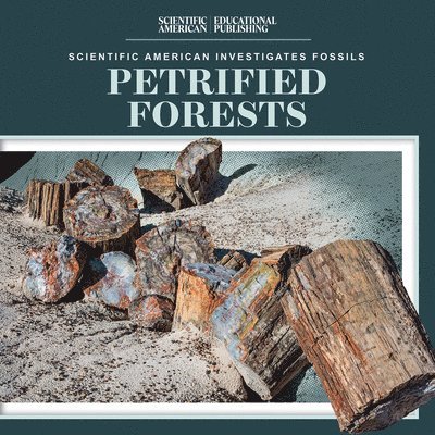 Petrified Forests 1