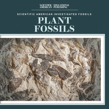 bokomslag Plant Fossils