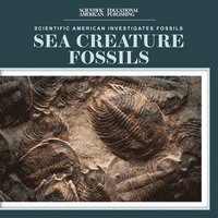 bokomslag Sea Creature Fossils