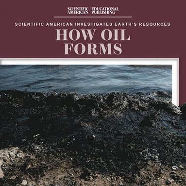 bokomslag How Oil Forms