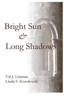 Bright Sun and Long Shadows 1