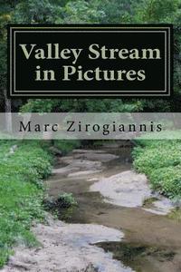 bokomslag Valley Stream in Pictures: Summer Edition