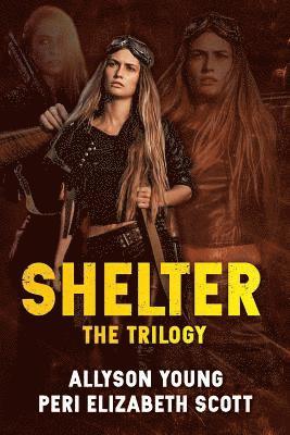 bokomslag Shelter: The Trilogy: The Beginning, the Reckoning, the Return