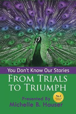 You Don't Know Our Stories: From Trials to Triumph 1