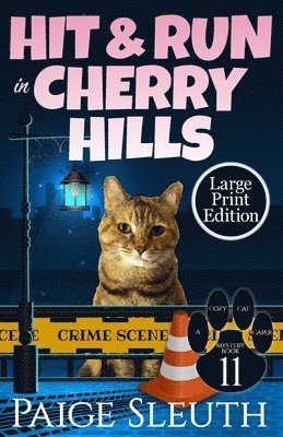 Hit and Run in Cherry Hills 1