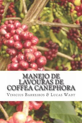 Manejo de Lavouras de Coffea Canephora: Análise de Viabilidade E Recomendações Técnicas Para a Cafeicultura No Município de Plácido de Castro - AC 1