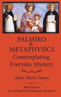 bokomslag Palmiro & Metaphysics: Contemplating Everyday Mystery