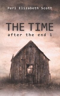 bokomslag The Time: after the end 1