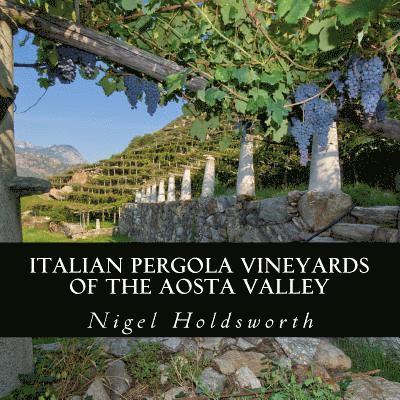 Italian Pergola Vineyards of the Aosta Valley 1