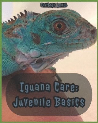 Faithlyn Leach - Iguana Care: Juvenile Basics, Häftad