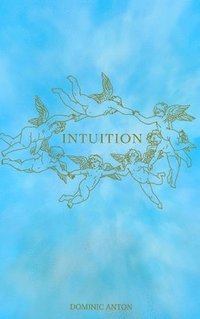 bokomslag Intuition