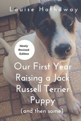 Our First Year Raising A Jack Russell Terrier (and then some)