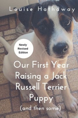 Our First Year Raising A Jack Russell Terrier (and then some) 1