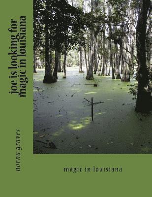 bokomslag joe is looking for magic in louisiana: magic in louisiana