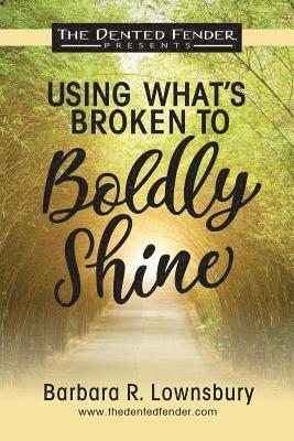 Using What's Broken to Boldly Shine: Dented Fender 1