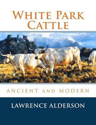 White Park Cattle 1