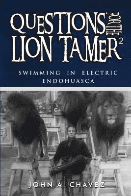 Questions for the Lion Tamer 2: Swimming in Electric Endohuasca 1