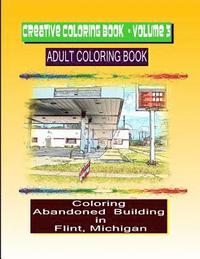 bokomslag Creative Coloring Book-Volume 3: Abandoned Buildings in the City of Flint Michigan