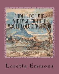 bokomslag Public Domain Vintage Picture Adult Coloring Book: Coloring Art Works From the Past