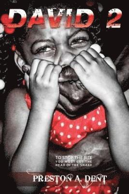 David 2: False Realities Expressed Everyday