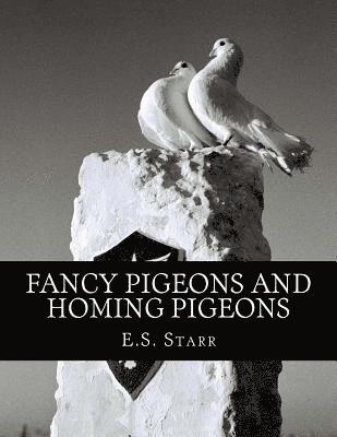 Fancy Pigeons and Homing Pigeons 1