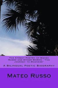 bokomslag The Street Poetry of Mateo Russo and Other Works: 'The Journey to Madness' A Bilingual Poetic Biography