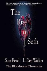 bokomslag The Rise of Seth