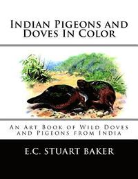 bokomslag Indian Pigeons and Doves In Color: An Art Book of Wild Doves and Pigeons from India