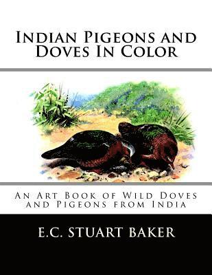 Indian Pigeons and Doves In Color: An Art Book of Wild Doves and Pigeons from India 1
