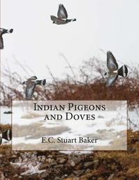 bokomslag Indian Pigeons and Doves