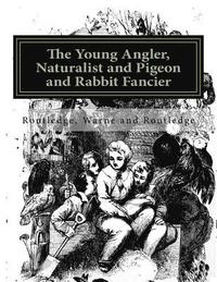 bokomslag The Young Angler, Naturalist and Pigeon and Rabbit Fancier
