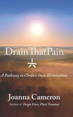 Carol Robertson Phd, Amanda Dobra Hope - Drain ThatPain: A Pathway to Chronic Pain Elimination, Häftad