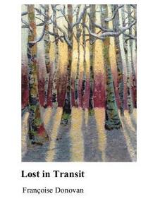bokomslag Lost in Transit