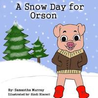 bokomslag A Snow Day for Orson