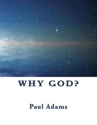 bokomslag Why God?