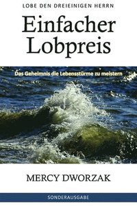 bokomslag Einfacher Lobpreis: Das Geheimnis die Lebensstürme zu meistern