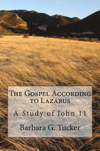 bokomslag The Gospel According to Lazarus: A Study in John 11