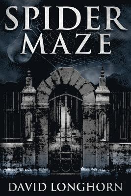 David Longhorn - Spider Maze, Häftad