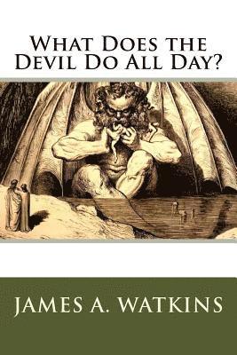 bokomslag What Does the Devil Do All Day?