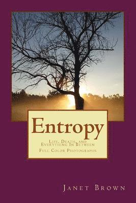 bokomslag Entropy: Life, Death, and Everything In Between Color Edition