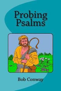 bokomslag Probing Psalms