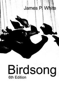 bokomslag Birdsong