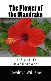 bokomslag The Flower of the Mandrake: La fleur de mandragore
