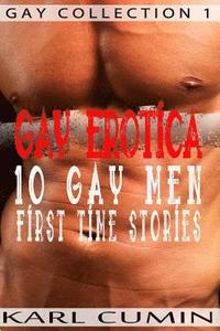 bokomslag Gay Erotica - 10 Gay Men First Time Stories