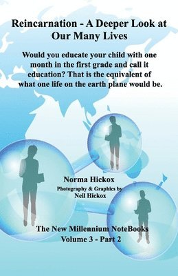 Reincarnation - A Deeper Look at Our Many Lives: Would you educate your child with one month in the first grade and call it education? That is the equ