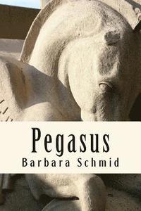bokomslag Pegasus