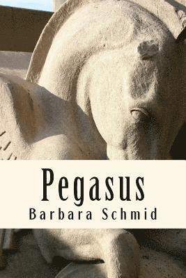 Barbara Schmid - Pegasus, Häftad
