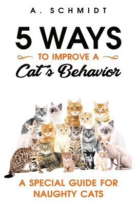 bokomslag 5 Ways to Improve a Cat's Behavior