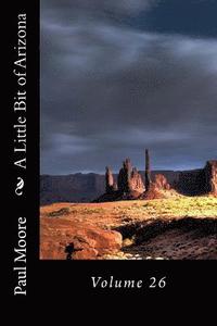 bokomslag A Little Bit of Arizona: Volume 26